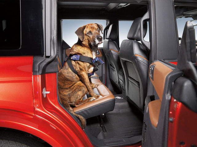PETHARNESS - : Vehicle Pet Harness for Ford Image