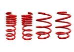 422330 - : Roush 2018-2026 Mustang MagneRide Lowering Springs for ROUSH Performance Image