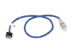 DY1623 - Emission System: Rear Oxygen Sensor for Ford: E-350 Super Duty, E-450 Super Duty, Focus Image
