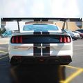 M17839FP350S - : FP350S Rear Wing Kit for Ford Performance Image