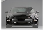 421843 - : Roush 2015-2017 Mustang Complete Front Fascia Kit - Raw Unpainted for ROUSH Performance Image