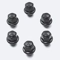 M1012BR - : M12 X 1.5 Black Lug Nut Kit (6Pcs) for Ford Performance Image
