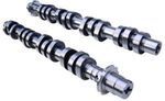 M65503V - : Camshafts 4.6L 3V MGT 2005-10 for Ford Performance Image