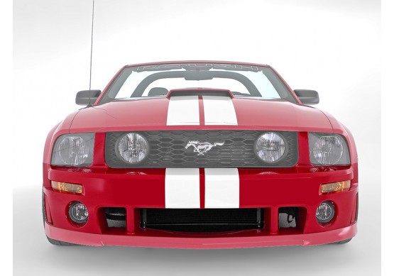 401422 - : Roush 2005-2009 Mustang Front Fascia for ROUSH Performance Image