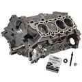 M6009A50SCB - : 5.0L Coyote Aluminuminator Sc Short Block 9.5:1 for Ford Performance Image
