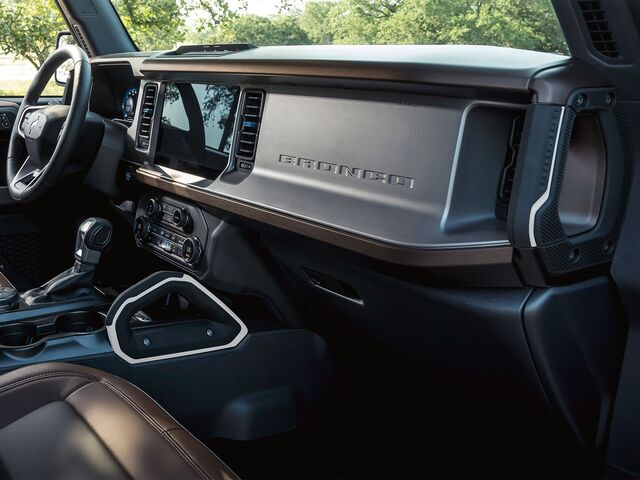 S2DZ78044E42AD - : Passenger Assist Handle, Oxford White for Ford: Bronco Image