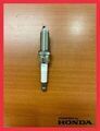 122905WJA01 - : Spark Plug for Honda Image