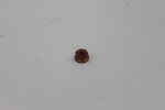 N91130801 - : Exhaust Manifold Lock Nut for Volkswagen Image