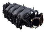 M9424M50D - : 2024-2025 MUSTANG 5.0L DUAL THROTTLE BODY INTAKE MANIFOLD for Ford Performance Image