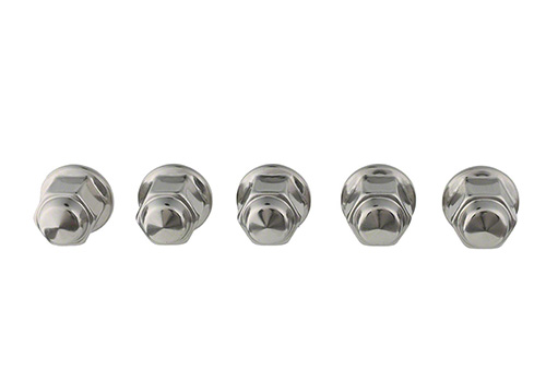 M1012A - : Ford Performance  LUG NUT Kit for Ford Performance Image