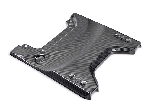 M16600BG - : 2022-2025 BRONCO RAPTOR CARBON FIBER TAILGATE APPLIQUE-GLOSS for Ford Performance Image