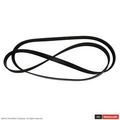 4L8Z8620A - Cooling System: Serpentine Belt for Ford Image