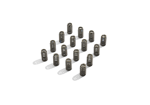 M6513M50BR - : BOSS 302R VALVE SPRING KIT for Ford Performance Image