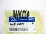 222212B001 - : Valve Springs for Hyundai: Accent, Elantra, Elantra GT, Kona, Sonata, Tucson, Veloster Image