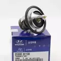 255003C130 - : Thermostat for Hyundai: Azera, Entourage, Genesis, Genesis Coupe, Santa Fe, Sonata, Veracruz Image