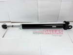 E6B10JA01PNW - Suspension: Value Advantageâ„¢ ABSORBER KIT SHOCK REAR for Nissan: Altima Image
