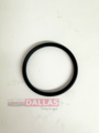 21049ED00A - Cooling System: Thermostat Gasket for Nissan: Altima, Frontier, Kicks, Micra, Murano, Pathfinder, Rogue, Rogue Select, Sentra, Versa, Versa Note Image