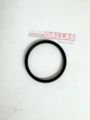 21049ED00B - Cooling System: Thermostat Gasket for Nissan: Altima, Cube, Juke, Qashqai, Rogue, Rogue Sport, Versa, Versa Note Image