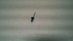 6036678AA - Glass: Windshield Header Rivet for Mopar Image