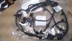 68593446AB - Electrical: Front Fascia Wiring for Mopar Image