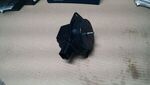 4593839AB - 3.5L Gas; Engine: Intake Manifold Plenum for Mopar Image