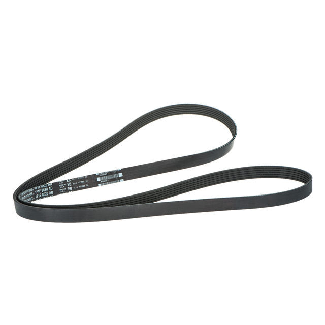 1F1Z8620AD - Maintenance &amp; Lubrication: Belt for Ford: Escort, Taurus, Windstar | Mercury: Sable, Tracer Image