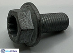 WHT005747 - Suspension: Knuckle Bolt for Volkswagen: e-Golf, Golf, Golf Alltrack, Golf R, Golf SportWagen, GTI Image