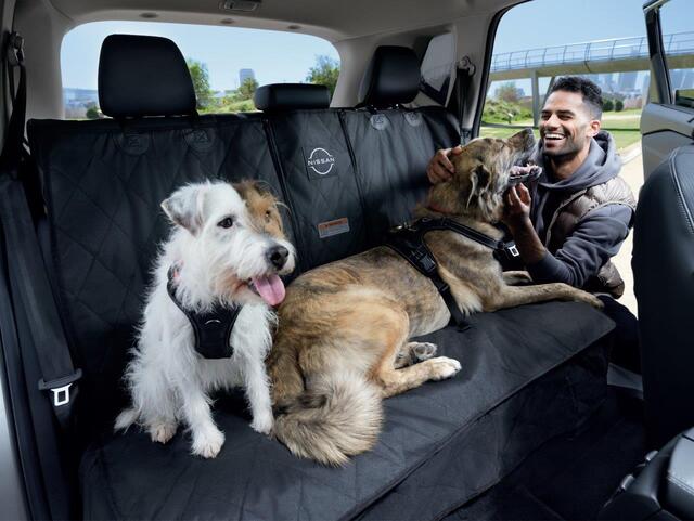 Dog Seat Covers For Captains Chairsnull