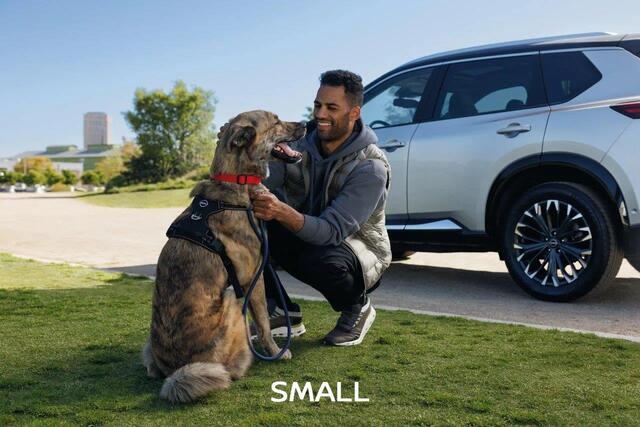 T99H26TA0A - Interior: Dog Harness Small for Nissan: Altima, ARIYA, Armada, Frontier, Kicks, Kicks Play, LEAF, Murano, Pathfinder, Rogue, Sentra, Versa Image