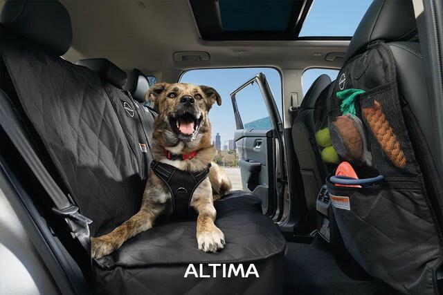 T99N46CA0P - : Pet Seat Protector (Bench Seat) for Nissan: Altima Image