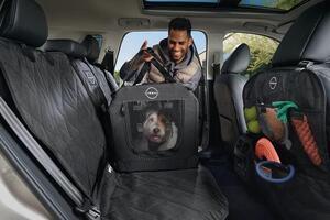 Nissan Pet Accessories Image