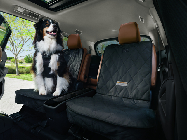 Nissan Pet Accessories