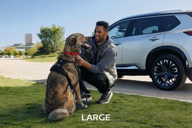 T99H26TA0C - Interior: Dog Harness Large for Nissan: Altima, ARIYA, Armada, Frontier, Kicks, Kicks Play, LEAF, Murano, Pathfinder, Rogue, Sentra, Versa Image