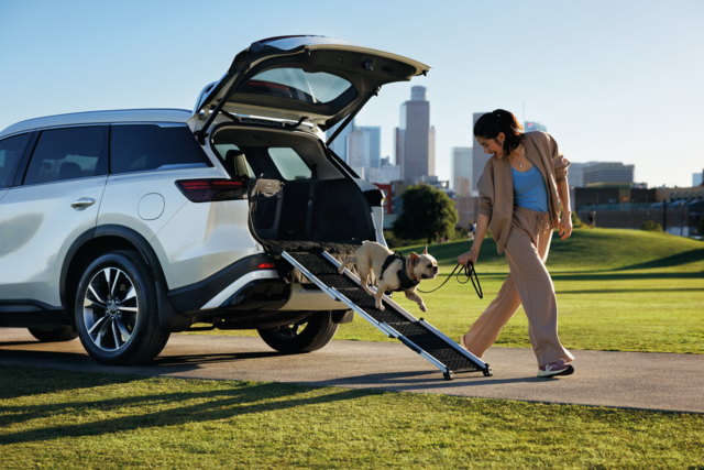 T99H46TA0B - Interior: Pet Ramp for INFINITI: QX50, QX55, QX60, QX80 Image