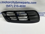 51117331728 - Body: Outer Grille for BMW Image