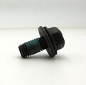 55506321 - : Fuel Injection Pump Bolt for GM Image