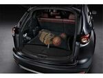 8KN11 - : 2016-2023 Mazda CX-9 Side Kit Cargo Net for Mazda: CX-9 Image