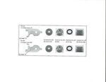 4605B850 - : Caliper Lever &amp; Boot Ki for Mitsubishi Image