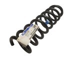 8L3Z5310N - Suspension: Spring for Ford Image