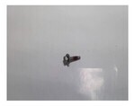 92264373 - Body: Outer Reinforced Bolt for GM Image