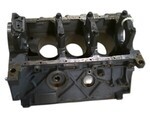 6F1Z6010AA - Engine: Cylinder Block for Ford Image