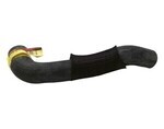 4C2Z8286FD - Cooling System: Lower Hose for Ford Image