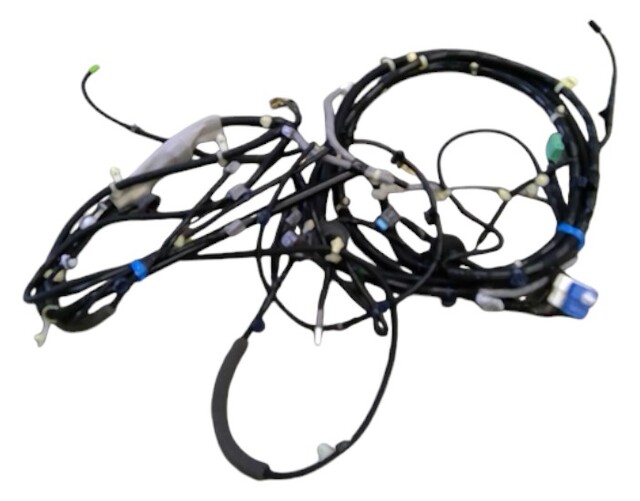 32160TE0Y02 - : Wire Harness, L Side for Honda Image