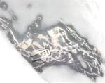 12508607 - : Tumbler, Lk Cylinder Anti-Rotation for GM Image