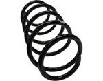 22698013 - : Coil Spring for GM Image