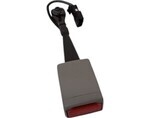 19256328 - : Light Titanium Passenger Seat Blt with Buckle for GM Image
