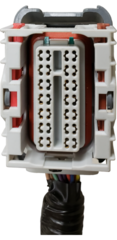 Engine Harness - GM (15263413)