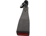 19300611 - : Titanium Driver Seat Blt with Buckle for GM Image