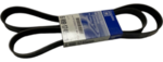 12593777 - : Serpentine Belt for GM Image