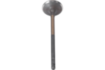 12582198 - : Exhaust Valve for GM Image